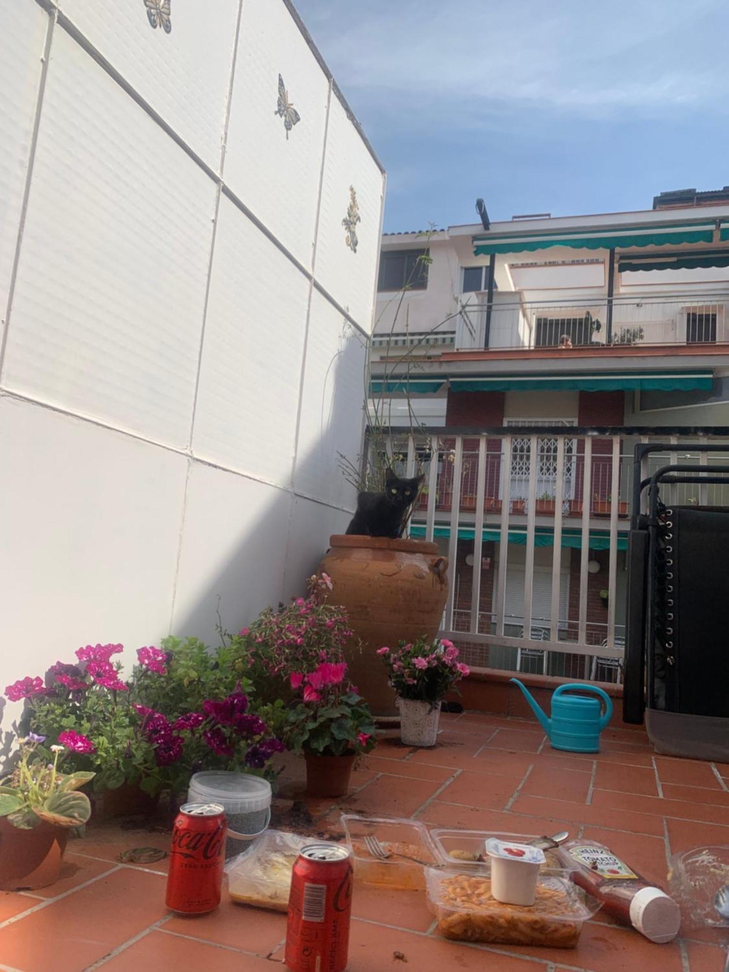 Apartamento Atico Con Encanto